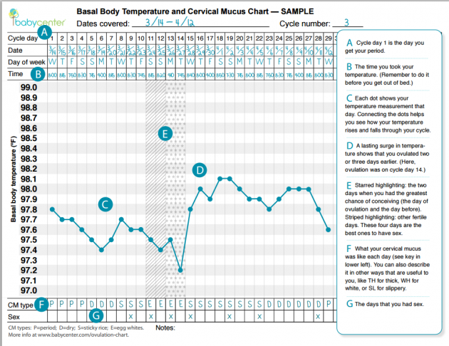 Contoh grafik lendir serviks dan suhu basal - via babycenter.com