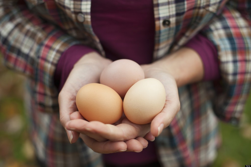 Telur, salah satu makanan terbaik yang kaya protein dan lemak via huffingtonpost.com