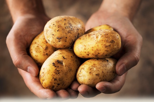 Hormon adrenaline ada pada kentang via www.potatoes.com